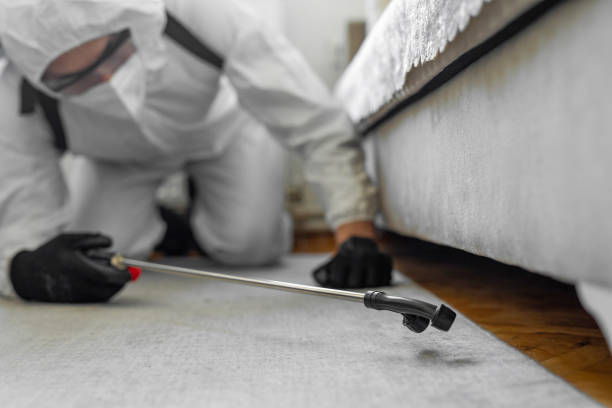 Professional Mosquito Control technician working in Cornelia, GA