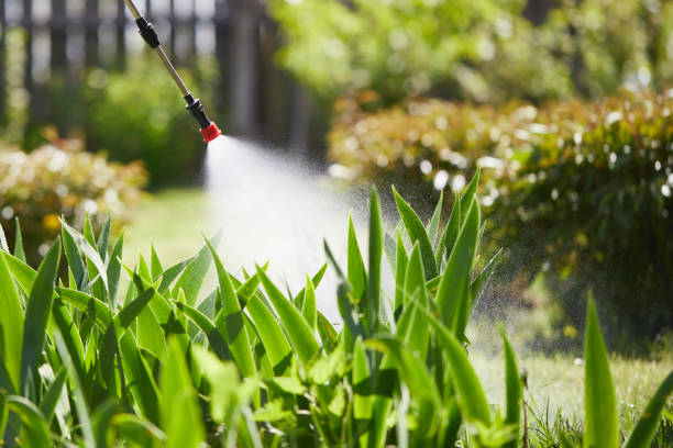 24/7 Emergency Mosquito Control experts in Cornelia, GA